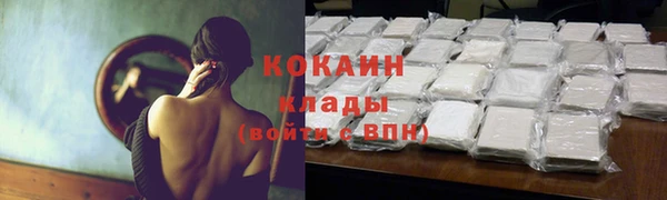 амф Инсар
