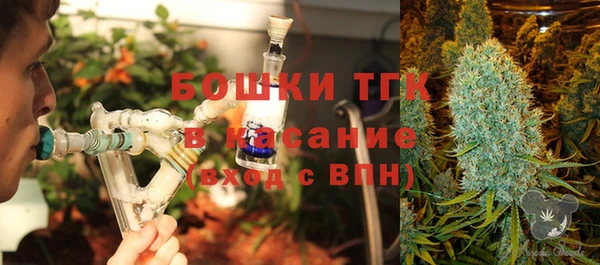 ГАЛЛЮЦИНОГЕННЫЕ ГРИБЫ Иннополис