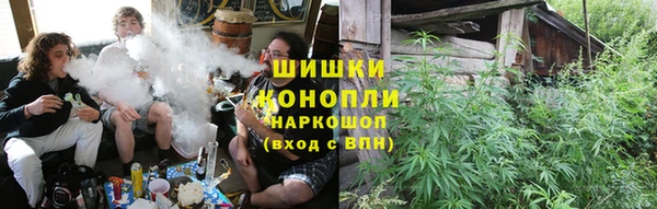 ГАЛЛЮЦИНОГЕННЫЕ ГРИБЫ Иннополис