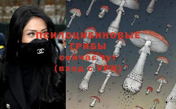 скорость Инта
