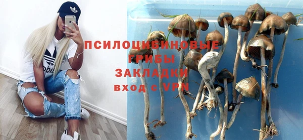 амф Инсар