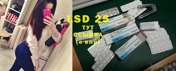 ГАЛЛЮЦИНОГЕННЫЕ ГРИБЫ Иннополис
