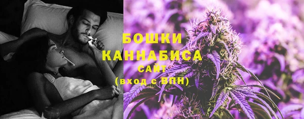 ГАЛЛЮЦИНОГЕННЫЕ ГРИБЫ Иннополис