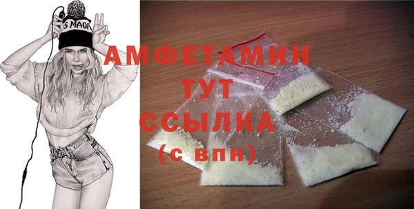 амф Инсар