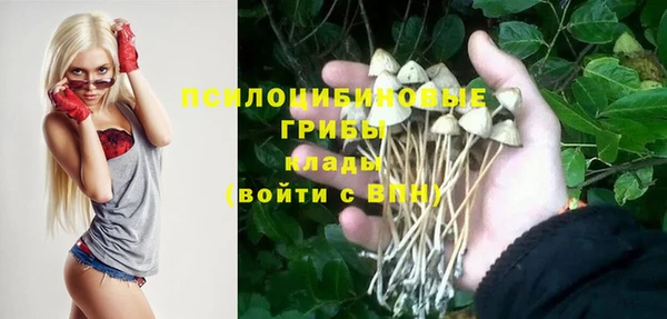 амф Инсар