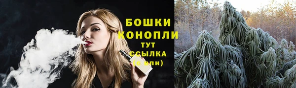 амф Инсар