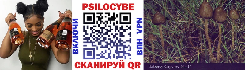 Галлюциногенные грибы Psilocybe  Купить закладки  Лермонтов 